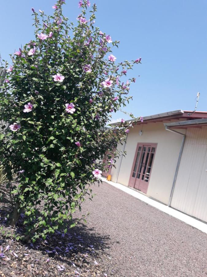 Holiday home Casa De Temporada Sitio Viva Serra